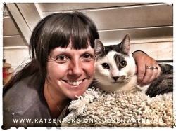 Was Kostet Eine Katzenpension Am Tag in ihrer Region Zerbst - IMG 7178 min - KATZENHAUS - KATZENPENSION - TIERHOTEL - KATZEN TIERHEIM - TIERSITTER