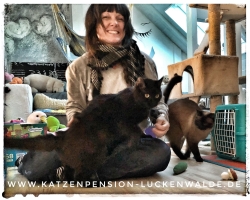 Was Kostet Eine Katzenpension Am Tag in ihrer Region Zerbst - IMG 7610 min - KATZENHAUS - KATZENPENSION - TIERHOTEL - KATZEN TIERHEIM - TIERSITTER