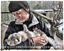 Katze Tierpension in ihrer Region Berlin Weißensee - IMG 8112 min - KATZENHAUS - KATZENPENSION - TIERHOTEL - KATZEN TIERHEIM - TIERSITTER